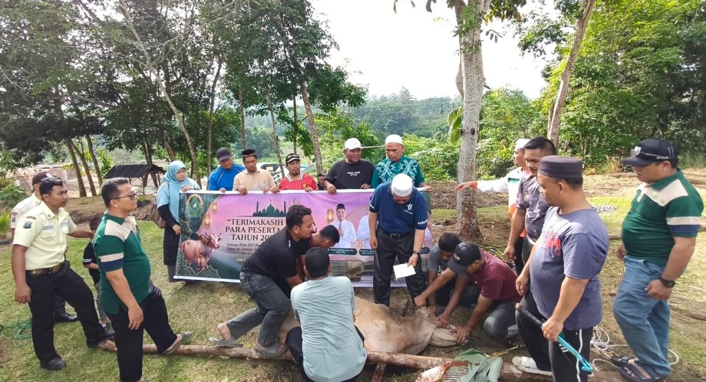Momentum Idul Adha 1447 H, UIN Syahada Padangsidimpuan Hadirkan Semangat Berbagi dan Kepedulian Sosial