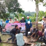Momentum Idul Adha 1447 H, UIN Syahada Padangsidimpuan Hadirkan Semangat Berbagi dan Kepedulian Sosial